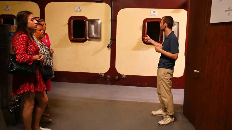 Saint-Émilion: Grand Cru Classé Winery Visit and Tasting - Key Points