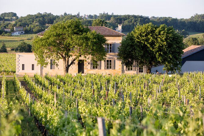 Saint Emilion Half-Day Trip with Wine Tasting & Winery Visit from Bordeaux - FAQs