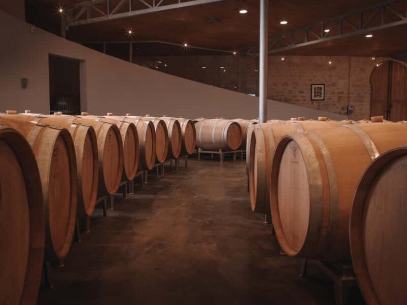 Saint-Émilion: Origin Tour - Tasting of 5 wines - Key Points