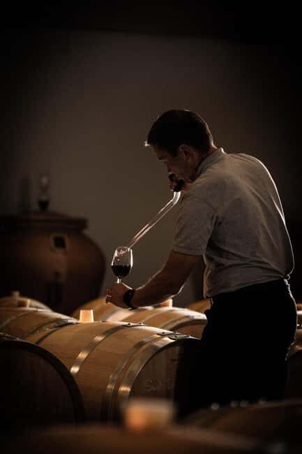 Saint-Émilion: Origin Tour - Tasting of 5 wines - What to Expect from the Tour