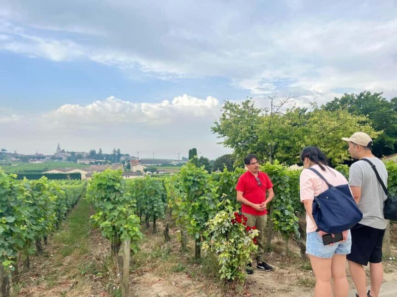 Saint-Émilion & Pomerol : Full day private tour classic car - Who Should Consider This Tour?