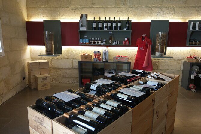 Saint-Emilion Private Full Day Wine Tour from Bordeaux - The Good: Why This Tour Gets Rave Reviews