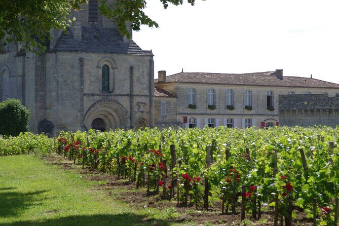 Saint-Emilion Private Full Day Wine Tour from Bordeaux - FAQ: All About the Saint-Emilion Private Full-Day Tour