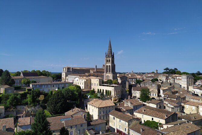 Saint-Emilion Private tour - Grand Cru Classé with an expert - An In-Depth Look at the Saint-Emilion Private Tour