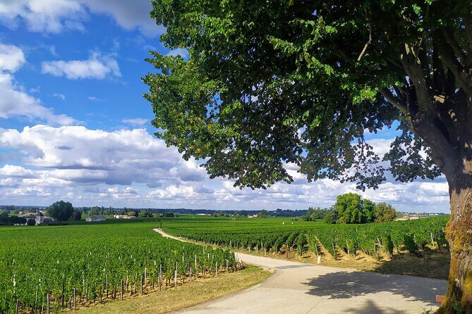 Saint-Emilion Private tour - Grand Cru Classé with an expert - What the Reviews Say