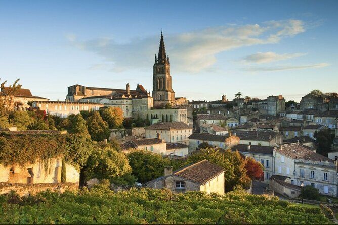 Saint-Émilion : Private Walking Tour & Magnificent Views - A Deep Dive into the Saint-Émilion Private Tour