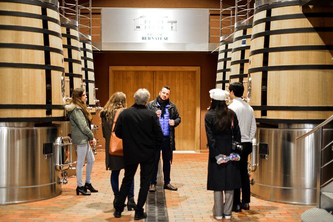 Saint-Emilion Small Group Day Tour with Wine Tastings & Lunch - The Experience of the Day