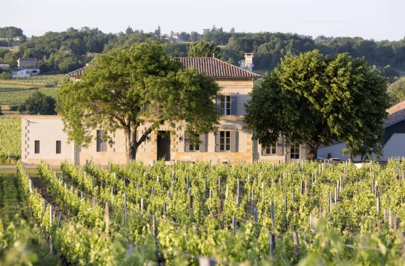 Saint-Emilion: Visit a family-run organic vineyard - Why This Tour Is Worth Considering