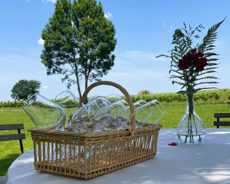 Saint-Emilion: Wine Region Tour w/ Wine Tasting & Aperitifs - Frequently Asked Questions