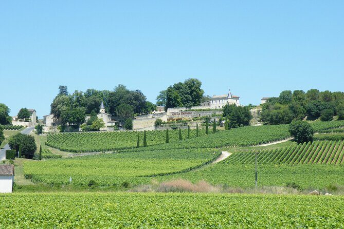 Saint Emilion Wine Tour Tasting Half Day from Bordeaux - Who Should Book This Tour?