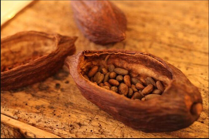 Saint-Germain The Original Chocolate Tasting Tour with Pastries and Macaron - A Deep Dive into the Tour