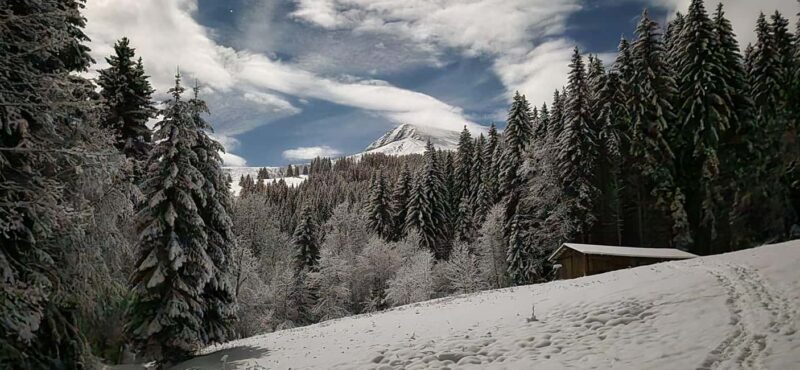 Saint-Gervais: Yurt evening - An Evening Designed for Nature and Comfort