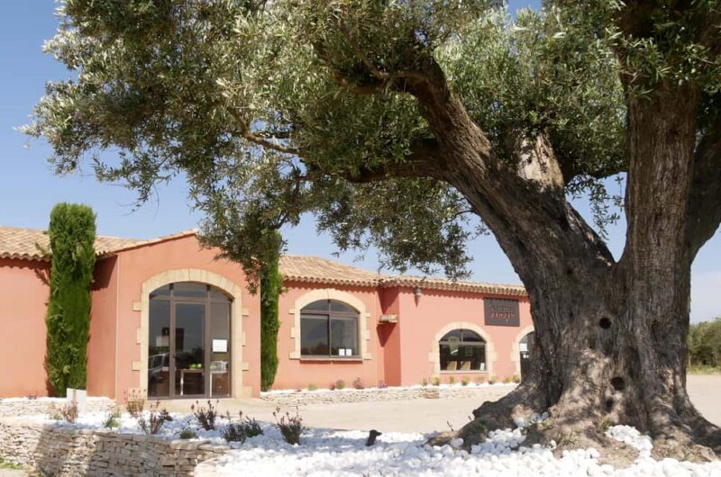 Saint Gilles: Tour of an olive oil mill in an organic olive grove - Tasting the Fruits of the Labour