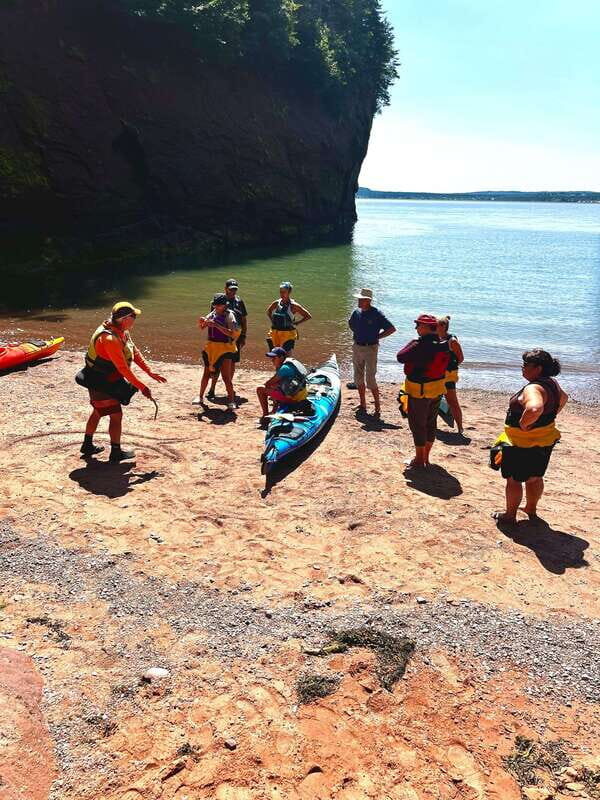 Saint John: Guided Kayaking Tour of St. Martins Sea Caves - Wildlife and Nature Encounters