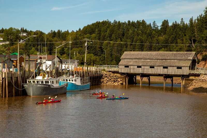 Saint John: Guided Kayaking Tour of St. Martins Sea Caves - Pricing and Overall Value