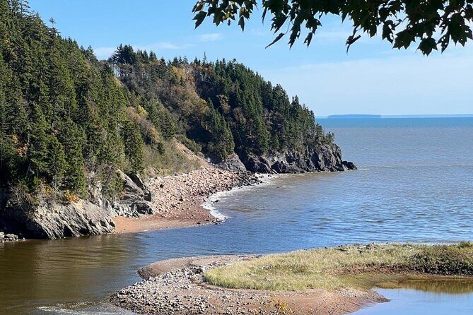 Saint John (NB) Bay of Fundy and Hopewell Rocks Private Tour - Practical Details and What You Should Know