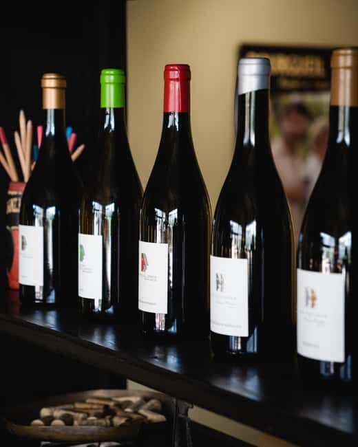 Saint Nicolas De Bourgueil Winery Tour And Wine Tasting - Exploring the Domaine Frederic Mabileau Winery Tour and Tasting