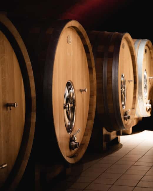 Saint Nicolas De Bourgueil Winery Tour And Wine Tasting - What to Expect During the Visit