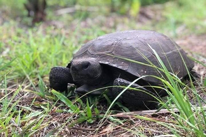 Saint Petersburg Preserve Bike Tour - Final Thoughts: Who Should Consider This Tour?
