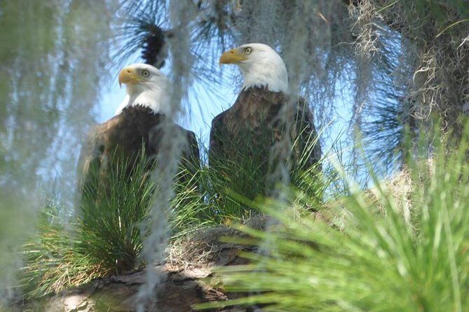 Saint Petersburg Preserve Bike Tour - Frequently Asked Questions