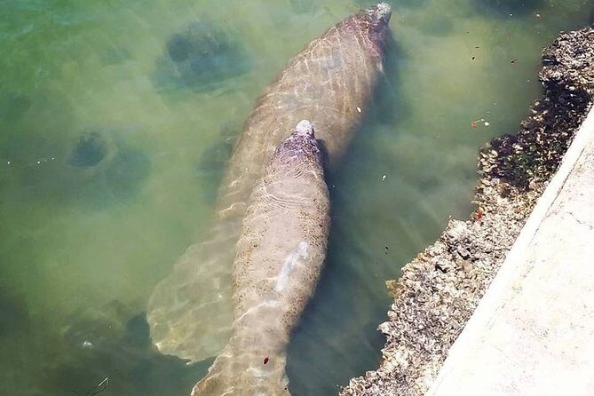 Saint Petersburg Scenic Segway Tour - A Deep Dive into the Tour Experience