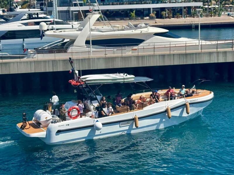 Saint Raphaël: Encounter with dolphins - Key Points