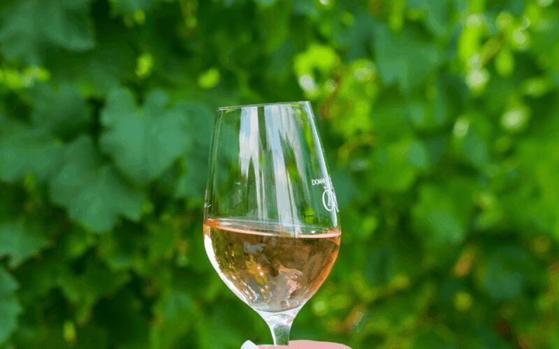 Saint-Tropez: Small Group Wine Tour - Key Points