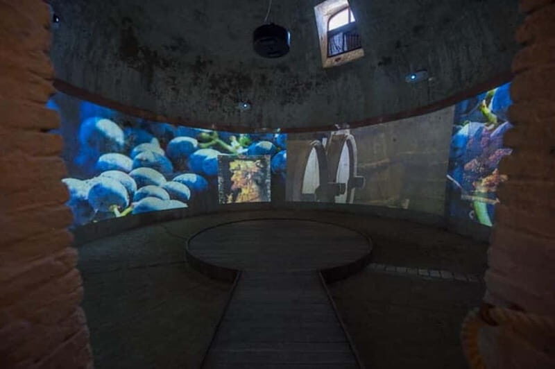 Sala Baganza: Wine Museum Ticket - Final Thoughts: Is It Worth It?