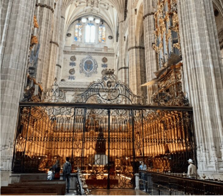 Salamanca Genial Tour privado - Exploring Salamanca in Just Two Hours