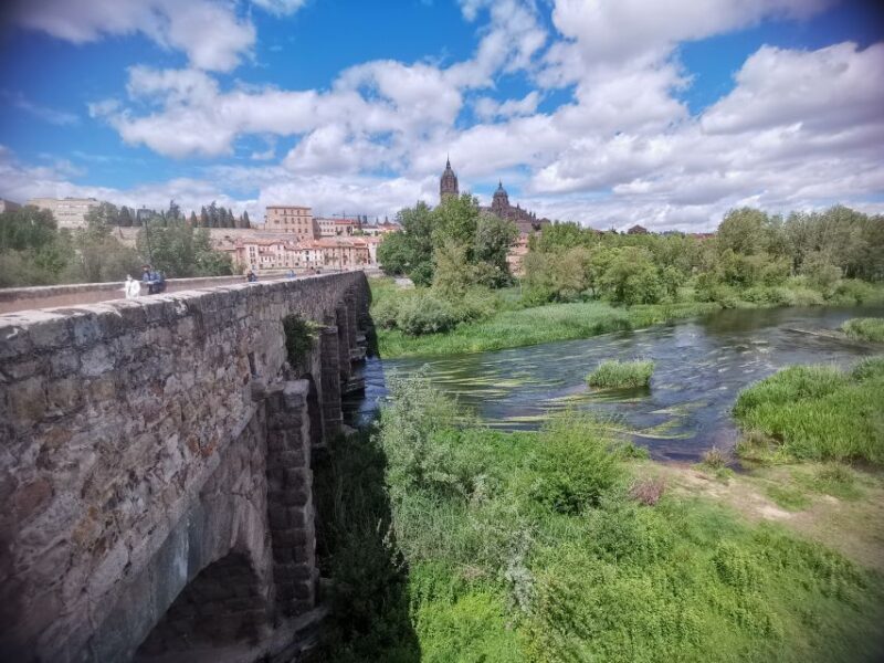 Salamanca: Guided Sightseeing Tour by Bicycle - Key Points