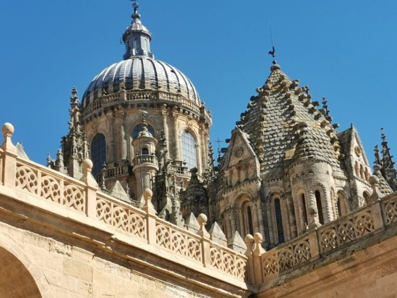 Salamanca: Monuments and Landmarks Guided Walking Tour - Final Thoughts: Is This Tour Right for You?