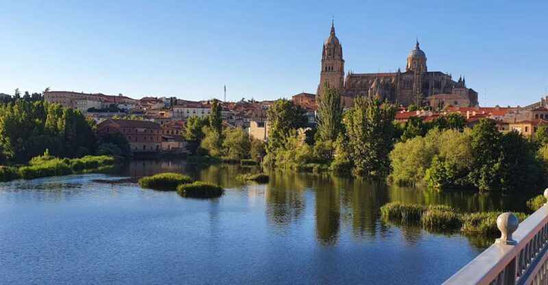 Salamanca: Private tour of the most important sites - Key Points