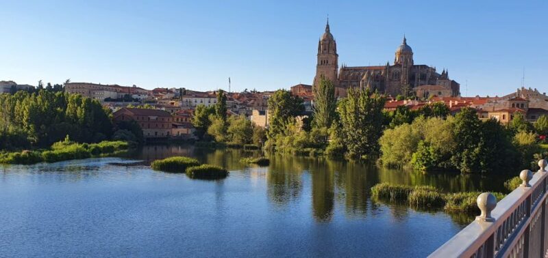 Salamanca: Private tour of the most important sites - Real Traveler Perspectives