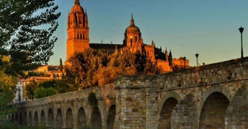 Salamanca: Private Walking Tour with a Local Guide - Discover Salamanca with a Personal Touch
