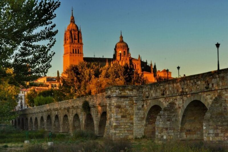 Salamanca: Private Walking Tour with a Local Guide - The Experience in Action