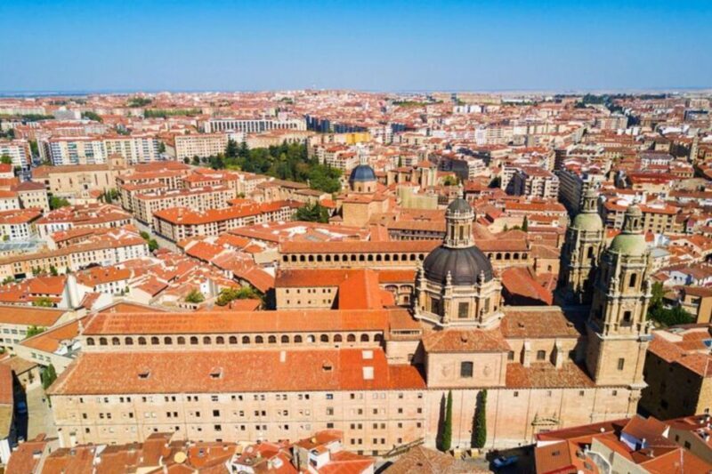 Salamanca: Private Walking Tour with a Local Guide - Pricing and Value