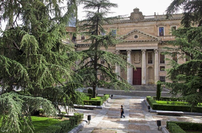 Salamanca: University and Colleges Walking Tour (Private) - Wrapping It Up