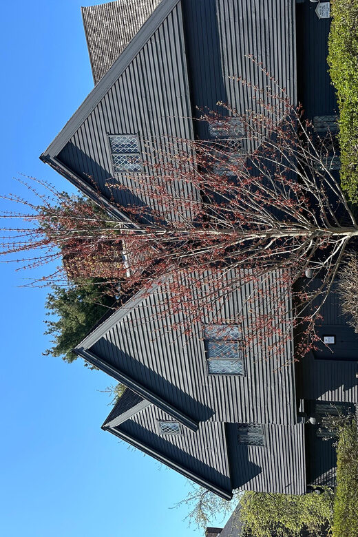 Salem, MA: Merchants & Mansions: an architecture tour - Final Thoughts