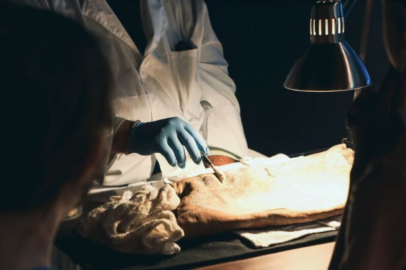 Salem: Pirate Museum with Authentic Treasures Entry Ticket - Key Points