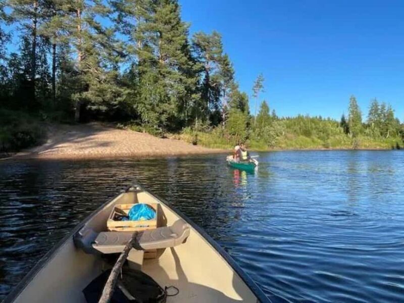 Sälen: Evening Beaver Safari by Canoe - An Honest Look at the Evening Beaver Safari in Sälen