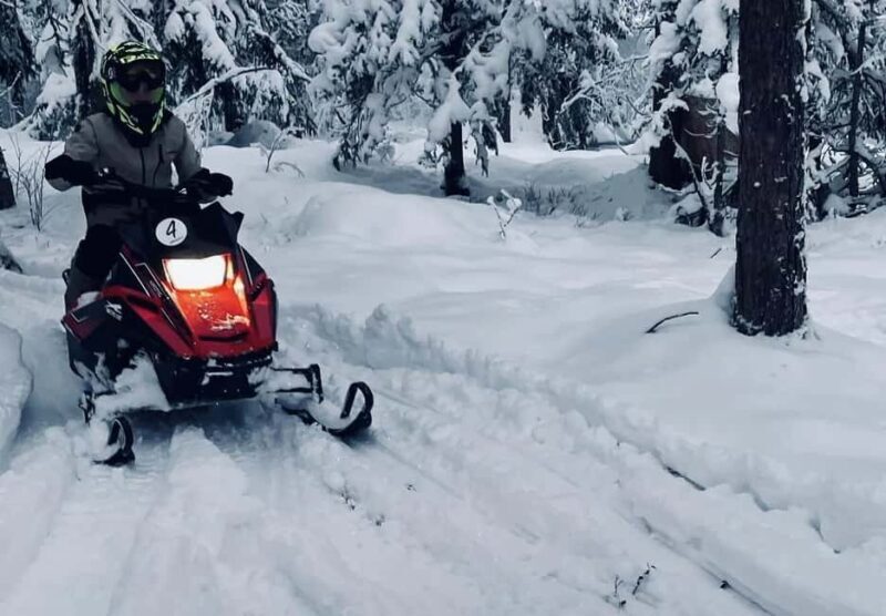 Sälen: Mini Snowmobile Adventure on Private Track - Key Points