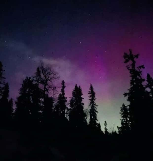 Sälen: Northern Lights Snowshoe Adventure with Pickup - Who Will Love This Tour?