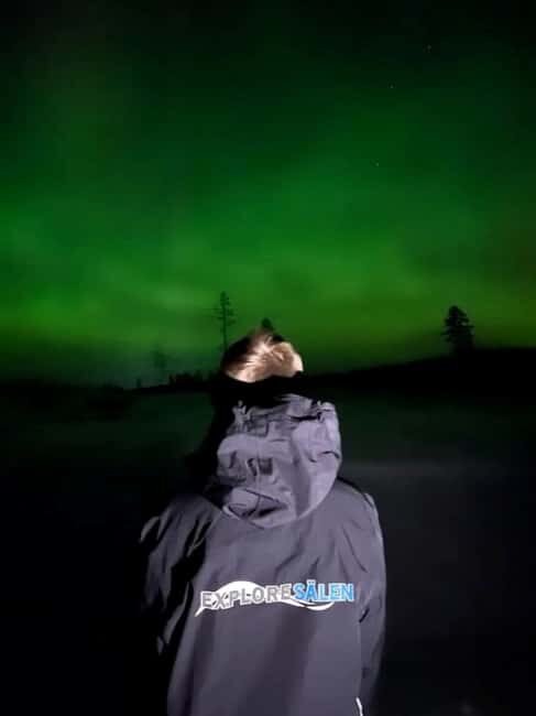 Sälen: Northern Lights Snowshoe Adventure with Pickup - Final Thoughts
