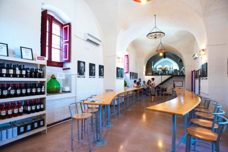 Salento: Winery Tour and Tasting - Key Points