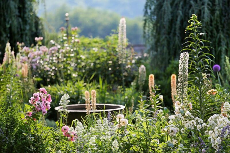 Salignac-Eyvigues: Gardens of Eyrignac Manor Entry Ticket - The Sum Up