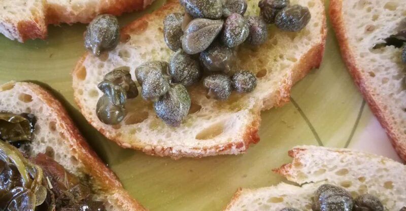 Salina Capers Experience - Key Points