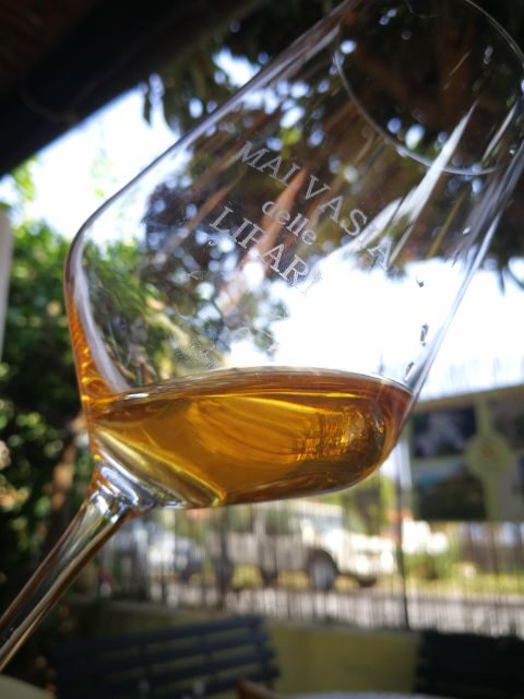 Salina Capers Experience - Visiting the Farm: Cultivation and Production