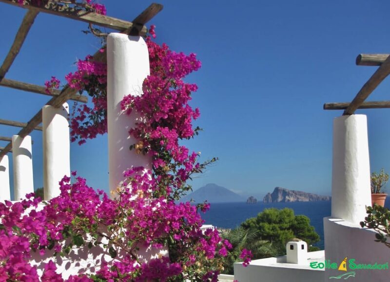 Salina Panarea Stromboli by night - Who is This Tour Best Suited For?