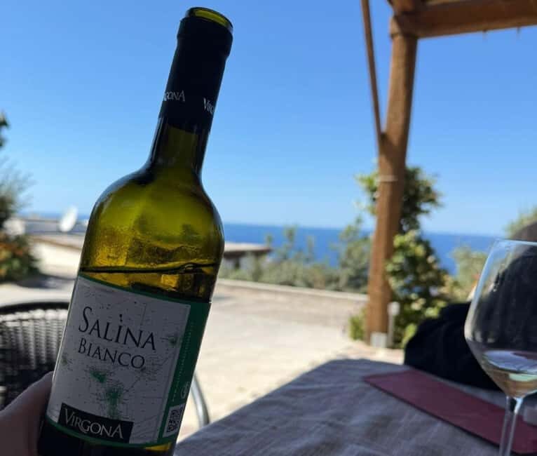 Salina: Wine Tasting & Brunch on Estate in Malfa - Key Points