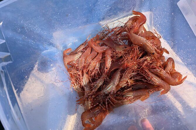 Salmon Fishing Charter in Vancouver - FAQs